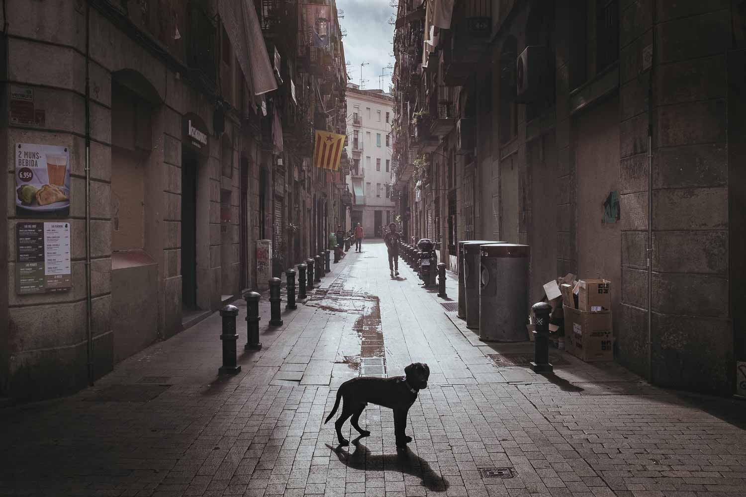 This photo shows the fine art print The Streets of Barcelona by Philip Reitsperger