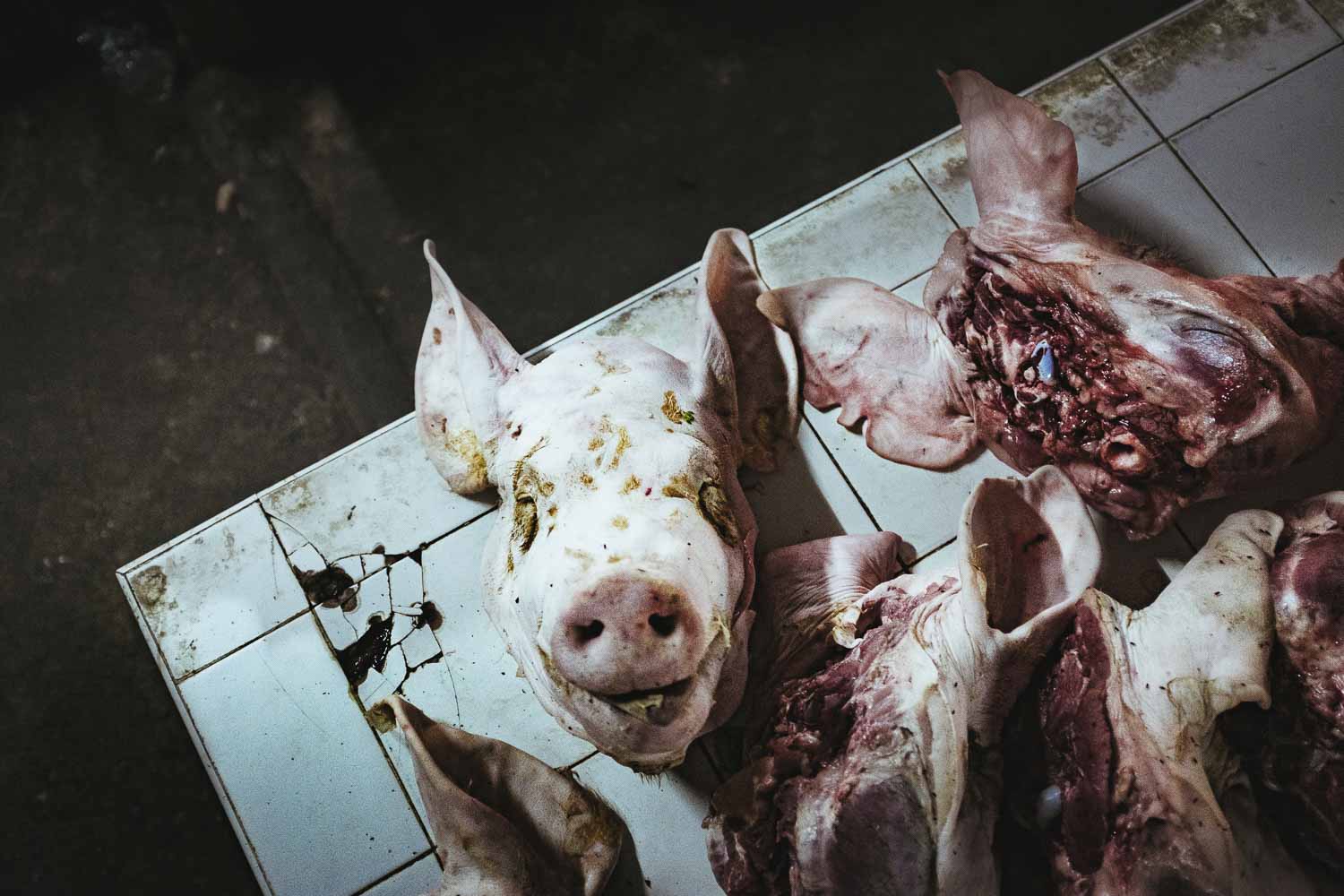 This photo shows the fine art print How to Debone a Pig Head Philip Reitsperger